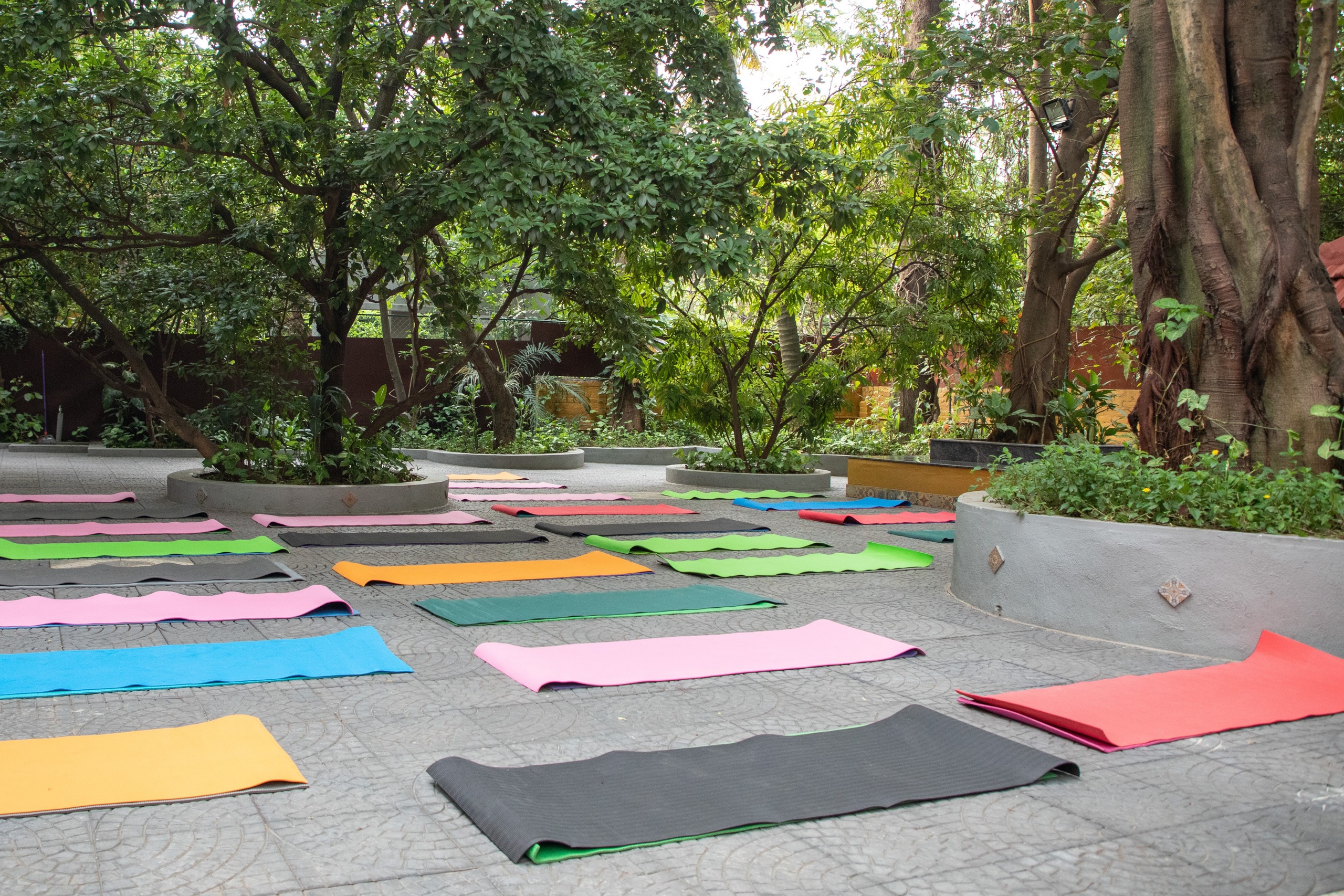 Sri Krishna Wellness, Yoga & Cultural Center — construction, Malleshwaram, Bengaluru, photo 3